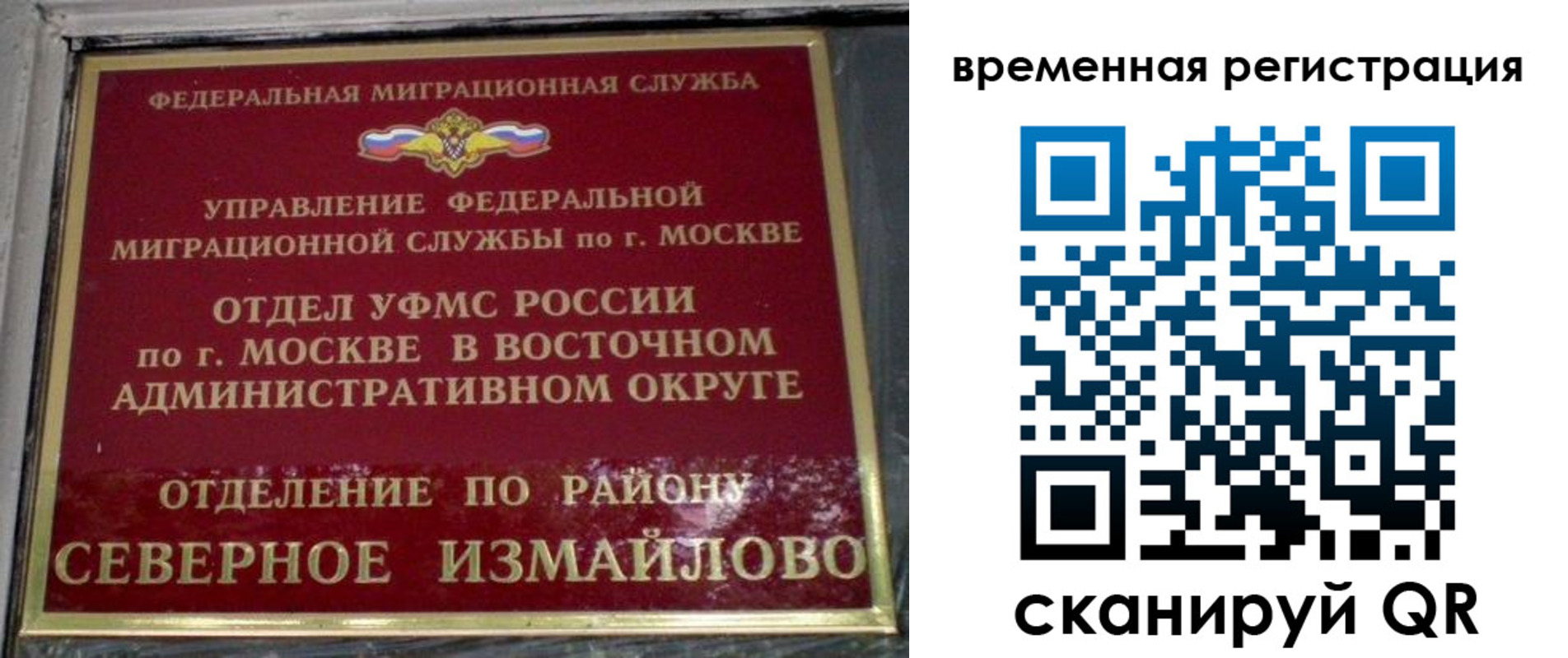 где прописаться в Димитровграде